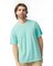 Comfort Colors® Garment Dyed Heavyweight Crewneck Short Sleeve T-Shirt